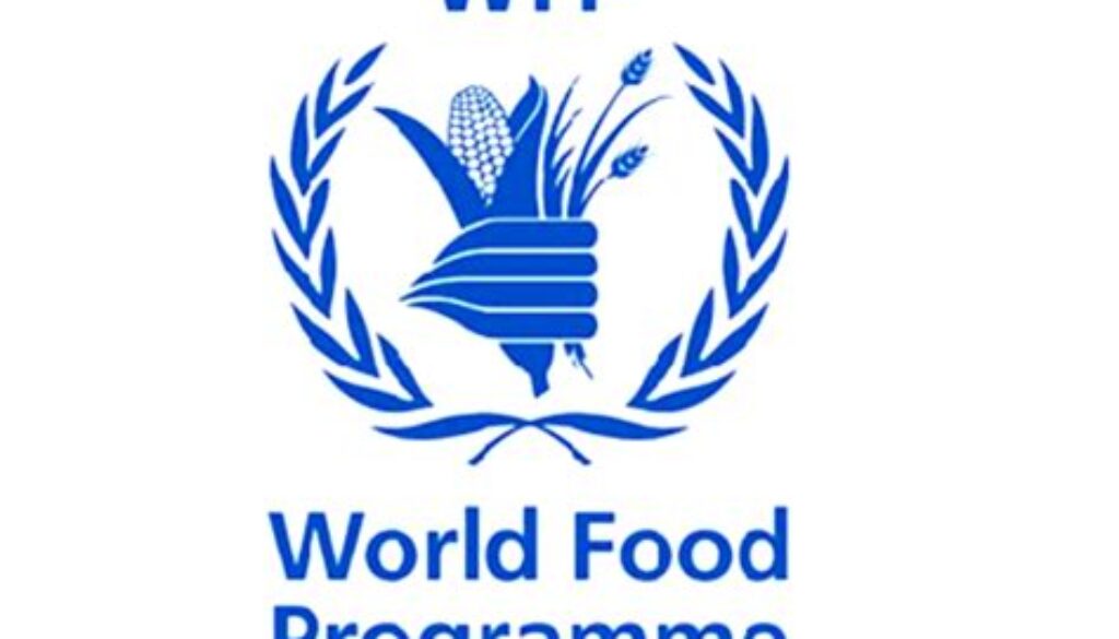 Programme Policy Officer (Disaster Risk Financing Strategy and Insurance) – SSA9, Kigali, Rwanda– Job Ref. RW/WFP/0505/2639